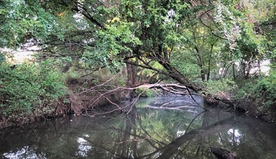 Middle Yegua Creek water quality training set for Sept. 26