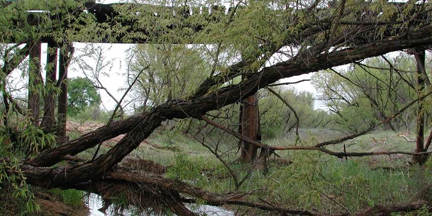Buck Creek Watershed Protection Plan accepted by EPA