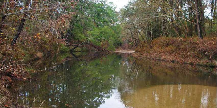 ‘Riparian Restoration on Farms and Ranches in Texas’ is now available