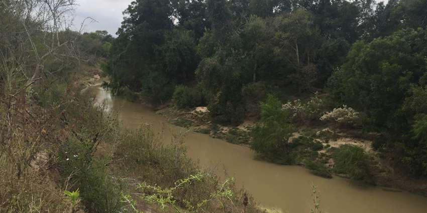 Riparian, stream ecosystem workshop set for April 25 in Goliad