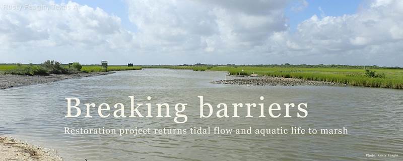 Breaking barriers banner