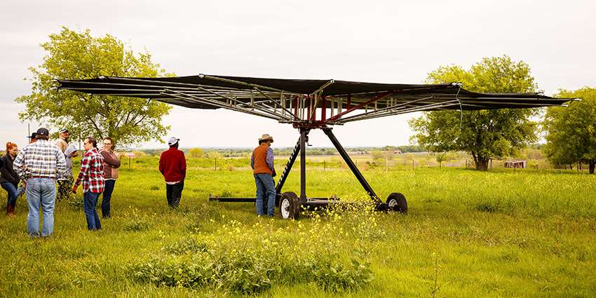 Portable shade by Ed Rhodes