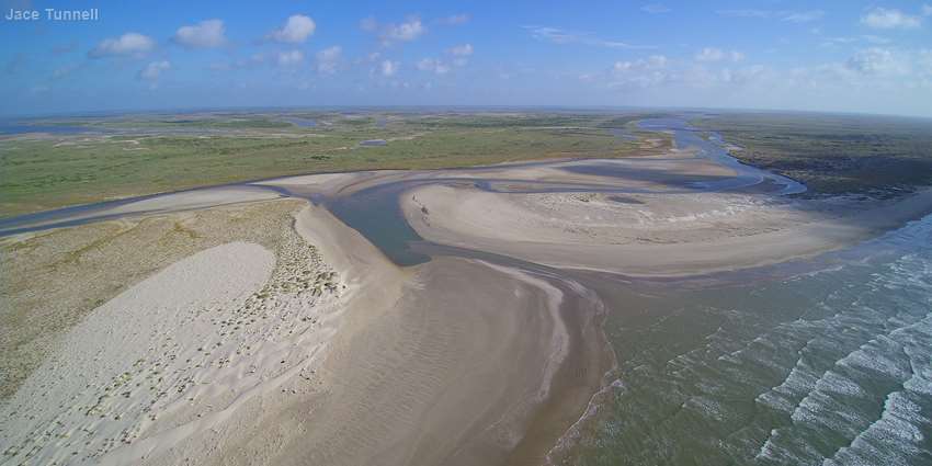 Land use and climate changes are throwing estuaries off balance