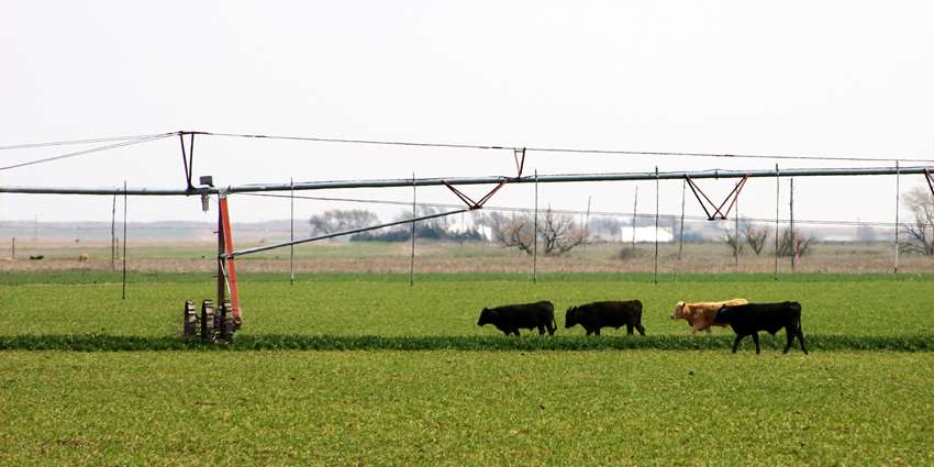Conference outlines status, challenges, opportunities for Southern Plains ag, forestry