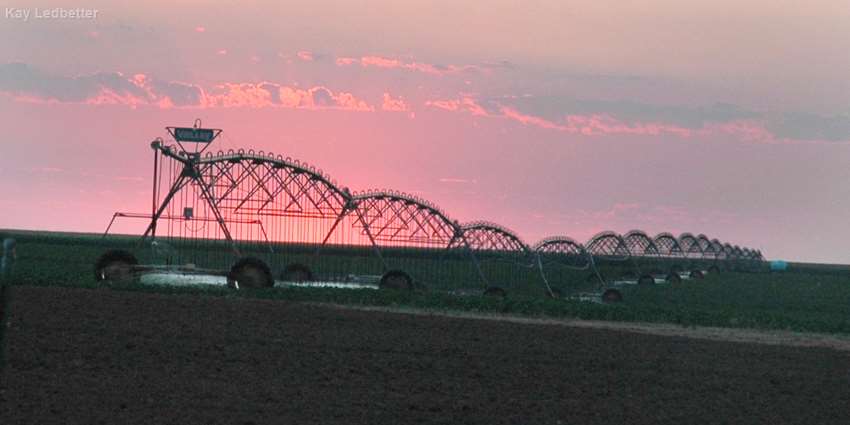 Talking with Ogallala Aquifer region producers about H2O