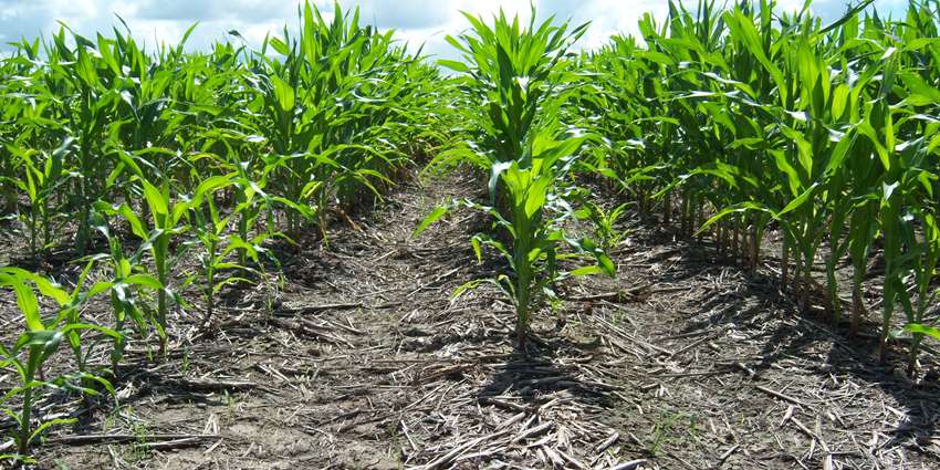 TWRI, IRNR support Soil and Water Stewardship Week