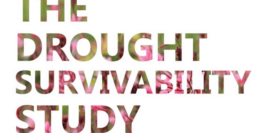 The Drought Survivability Study banner