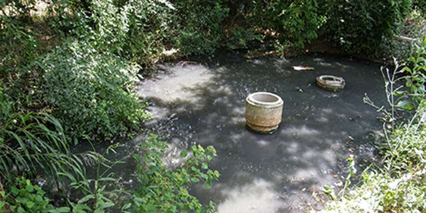 Partnership presents workshop, offers assistance for septic system repairs, replacements