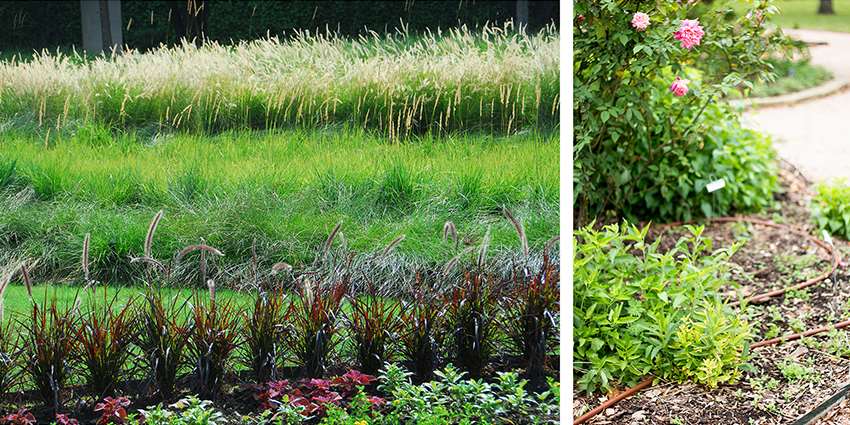 Healthy Lawns Healthy Waters