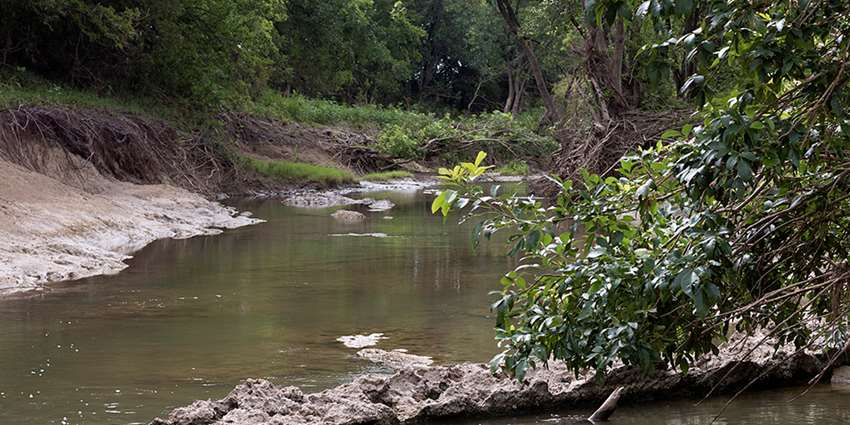 Urban Riparian and Stream Restoration program workshop set for April 25 in Temple