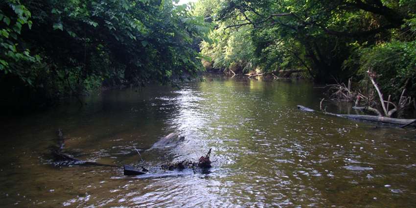 Sulphur river