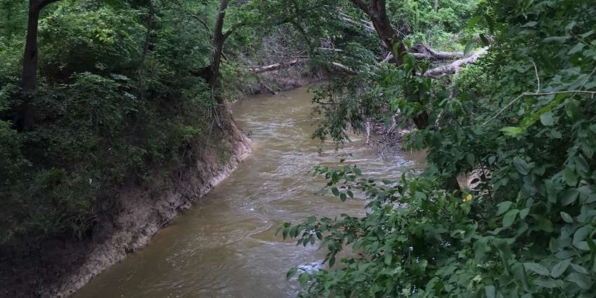 Riparian, stream ecosystem workshop set for Sept. 19 in Corsicana