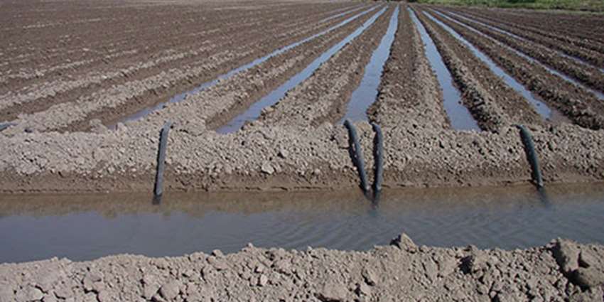 TWRI-led Lower Rio Grande Valley initiative receives $2.3 million grant