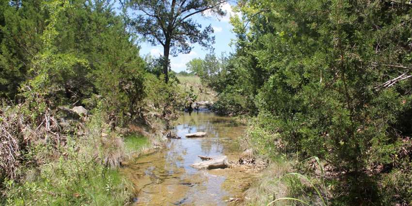 Riparian and stream ecosystem workshop set for Oct. 23 in Lampasas
