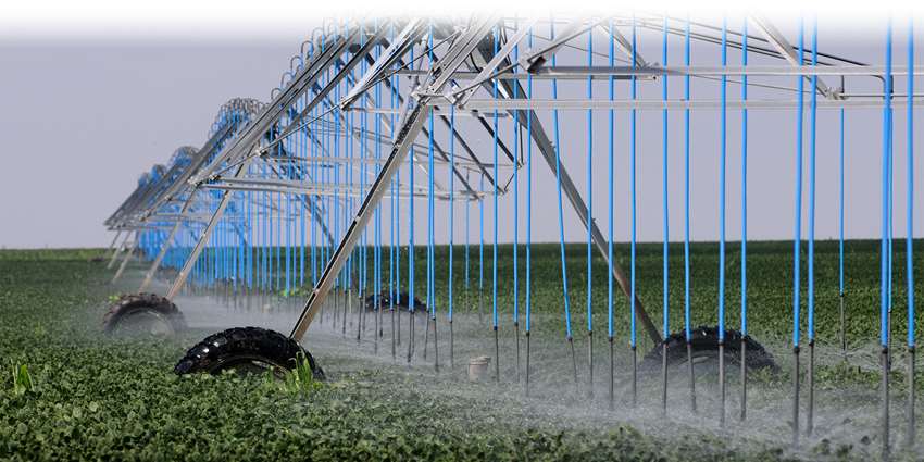 Master Irrigator program: From demonstration to adoption
