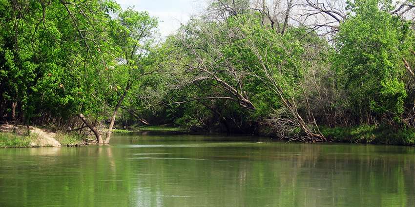 Institute to hold two meetings in April in the Matagorda Basin watershed