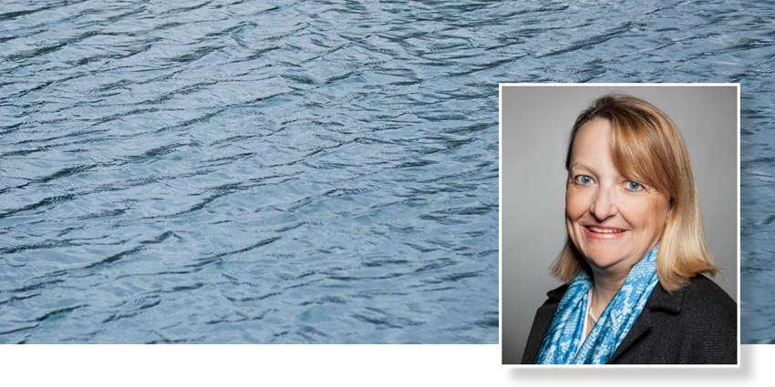 2017 Water lecture series featuring Karin Krchnak