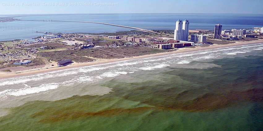 TPWD’s Kills and Spills Team responds to fish, wildlife kills