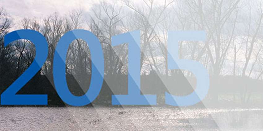 2015 Year in Review Banner