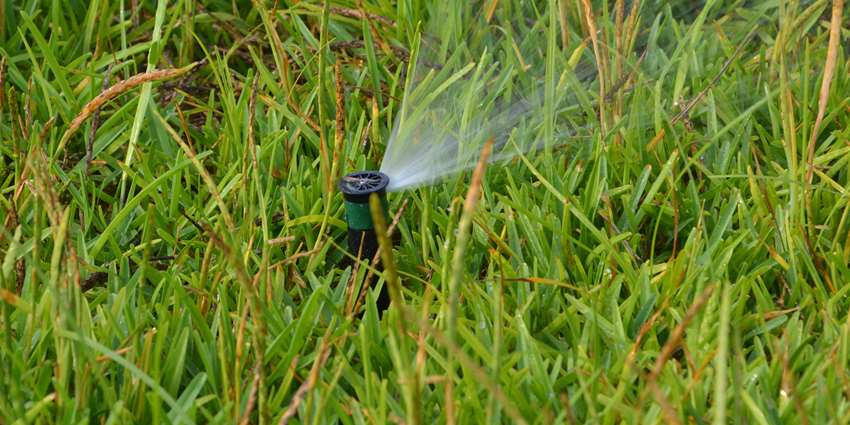 Sprinkler head spraying grass courtesy of AgriLife Extension