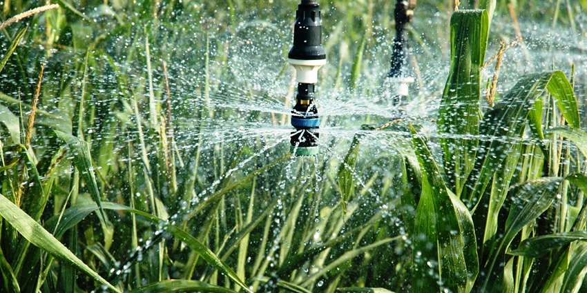 Sprinkler irrigation in high plains by Kay Ledbetter, AgriLife Today