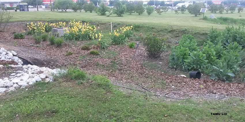 Urban riparian, stream restoration workshop set for Aug. 16 in The Woodlands