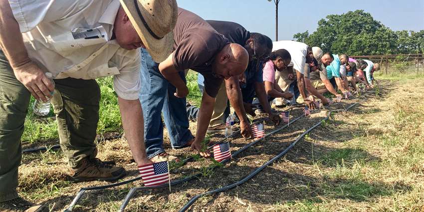 Military veteran-oriented farm tour, workshop slated for Aug. 4-5 in Dallas