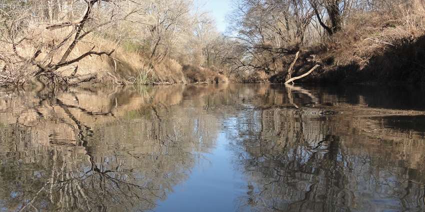 Riparian and stream ecosystem workshop coming to Centerville Nov. 9