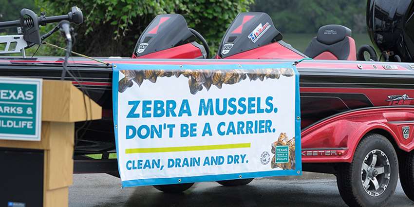 Zebra mussels: help Texas stop this invasive water species