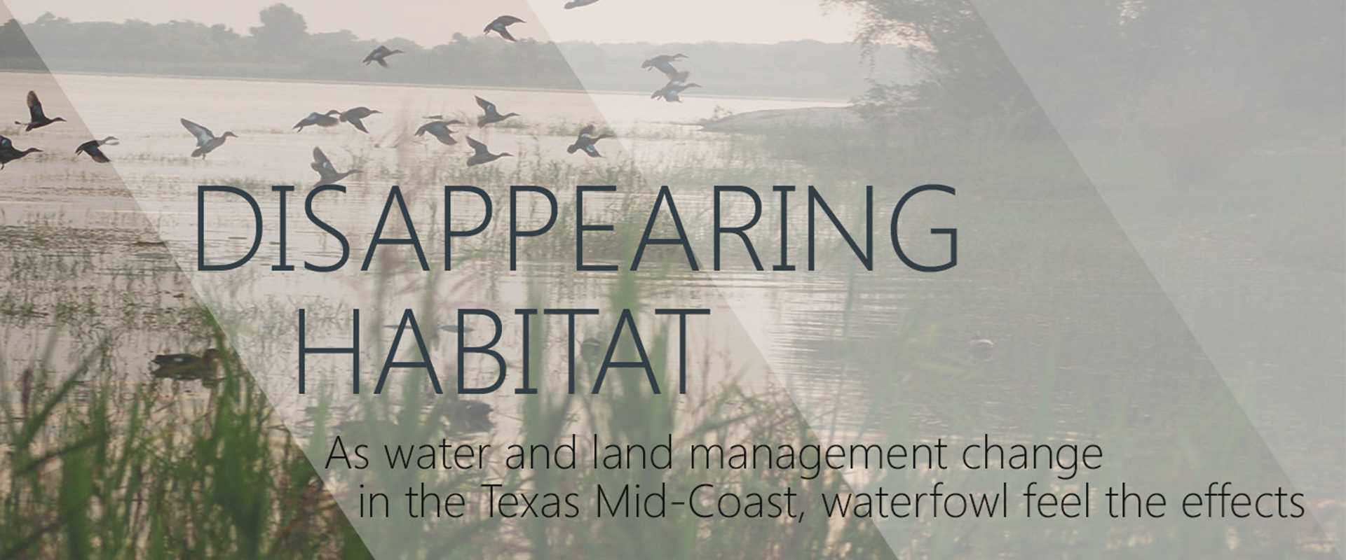 Disappearing Habitat