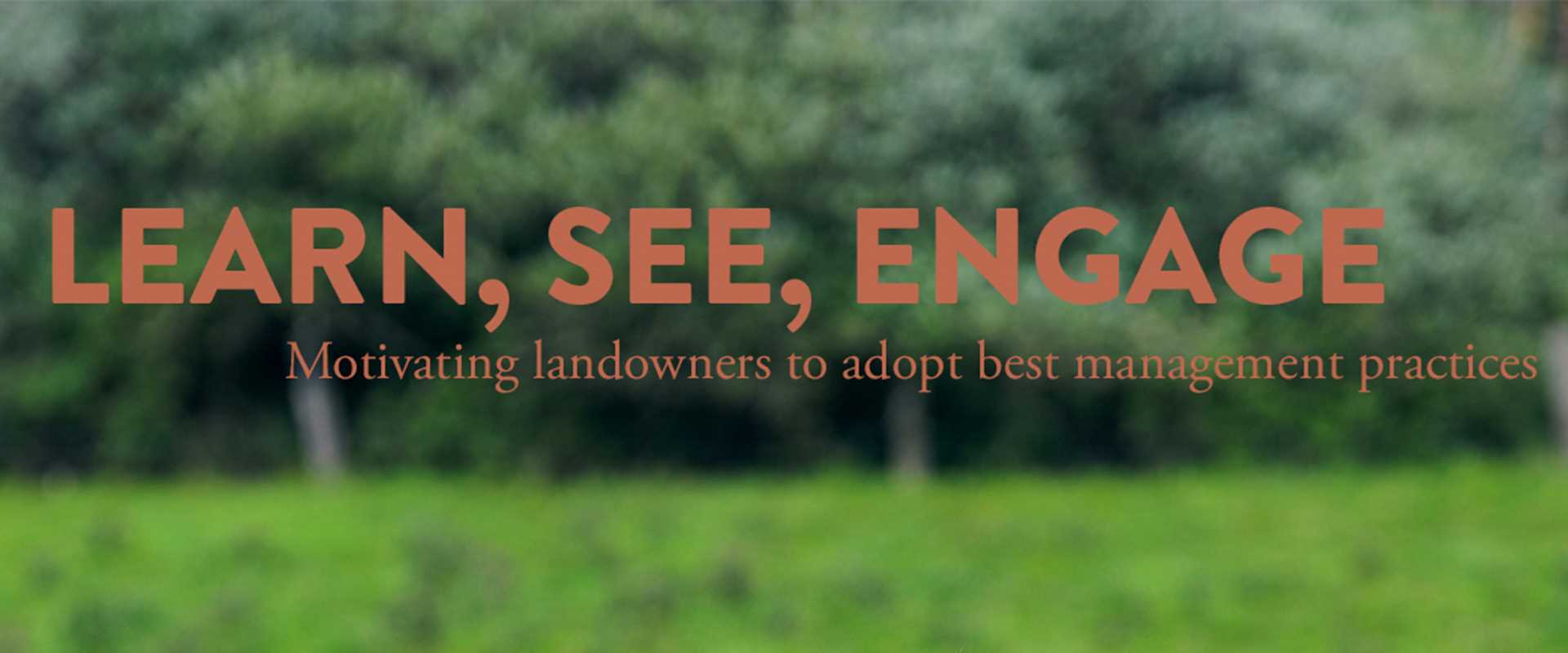 Learn, See, Engage