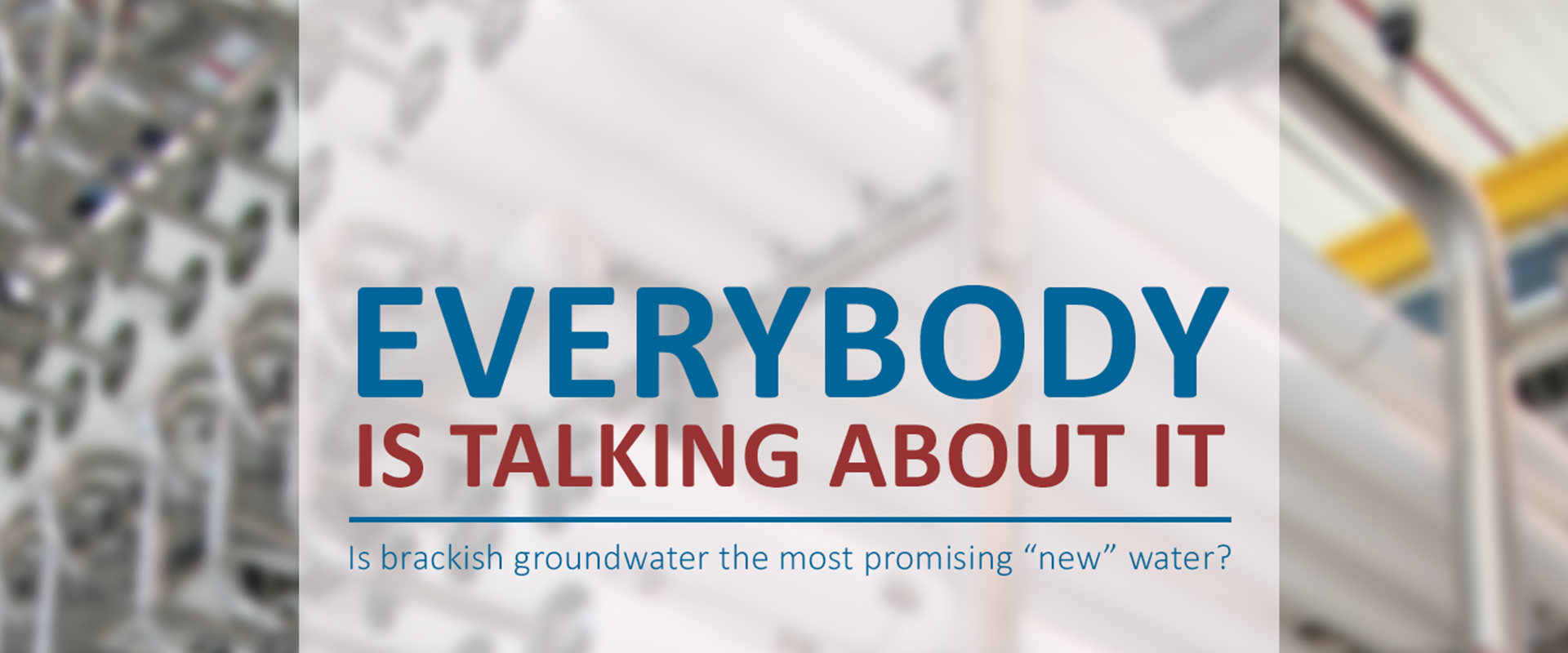 Everybody is Talking About It Banner