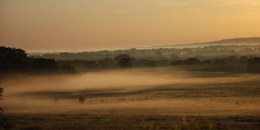 Bartush Ranch by Mary del Olmo