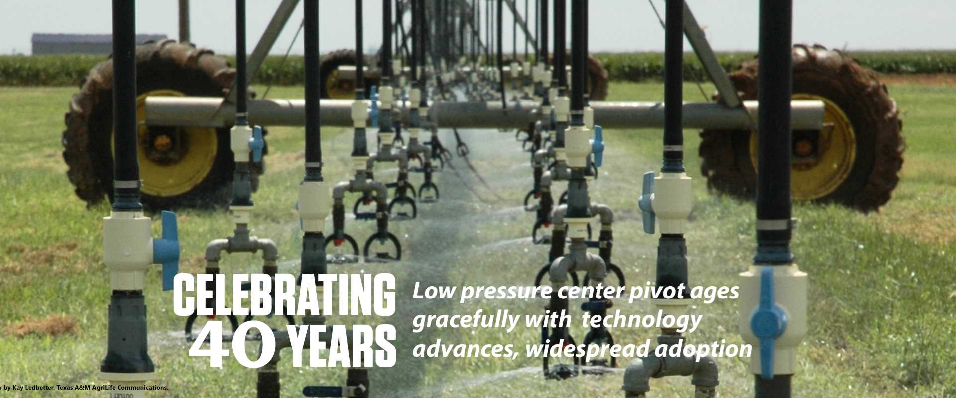 Celebrating 40 years banner