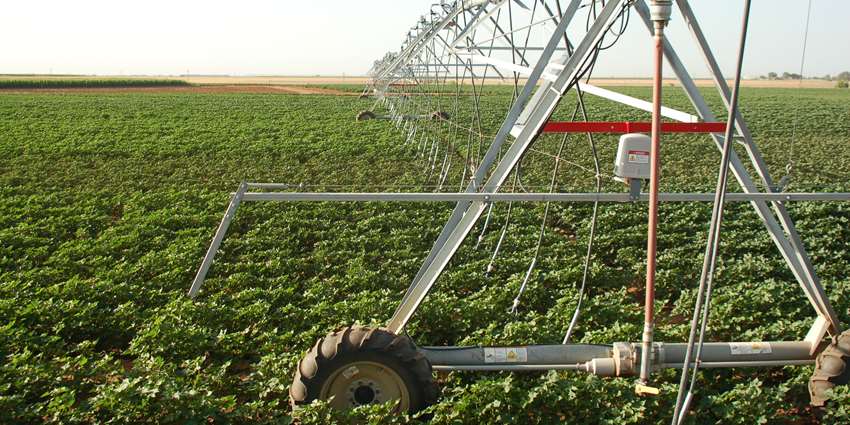 Rangeland management is key to sustaining the Ogallala Aquifer