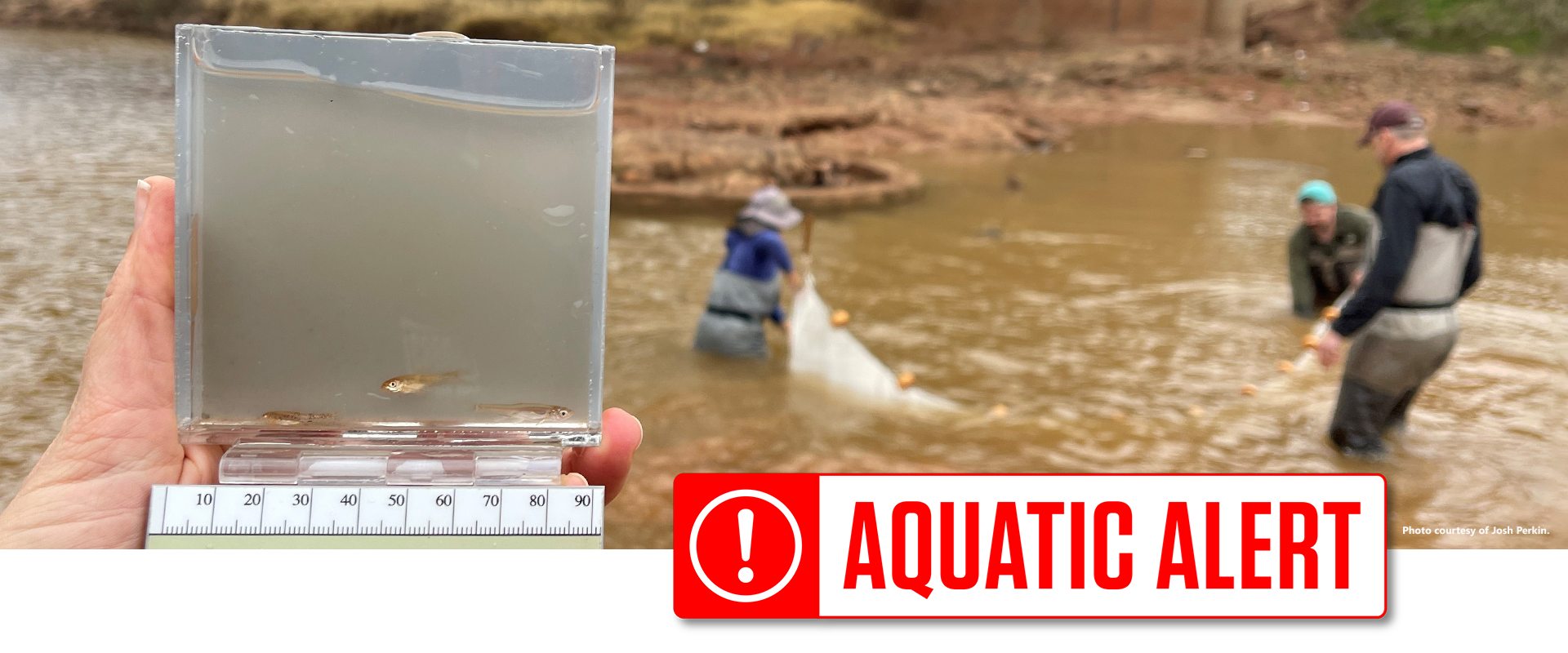 Aquatic Alert