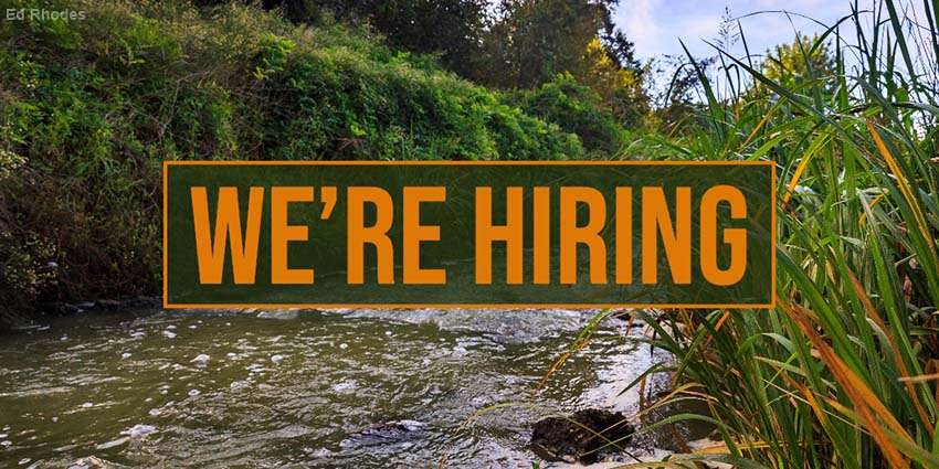 TWRI is looking for a research specialist and program specialist