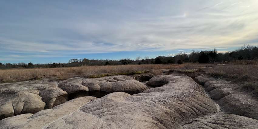 New research shows negative water impacts of removing vegetation and topsoil