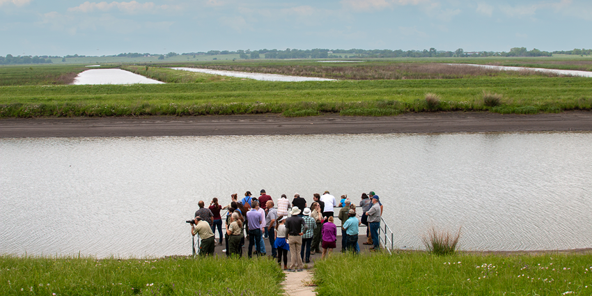 Watershed coordinator roundtable highlights importance of wetlands