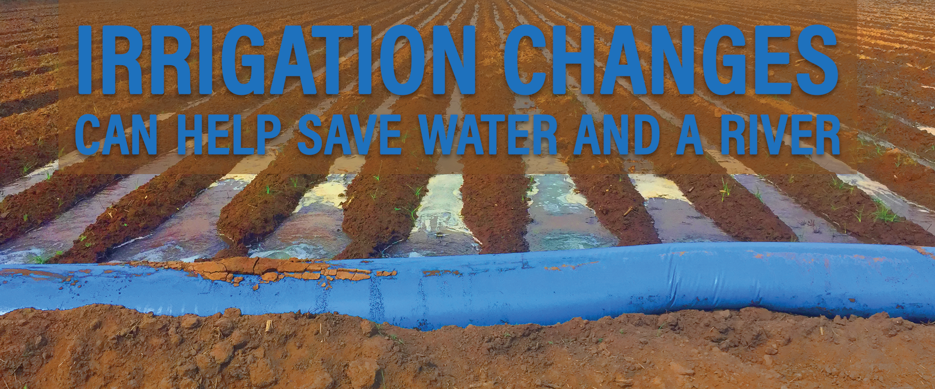 Irrigation can help save water and a river banner