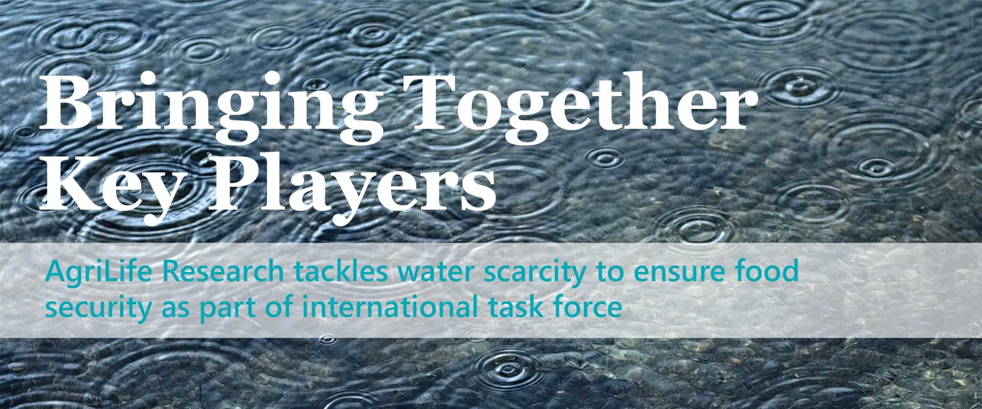 Bringing Together Key Players