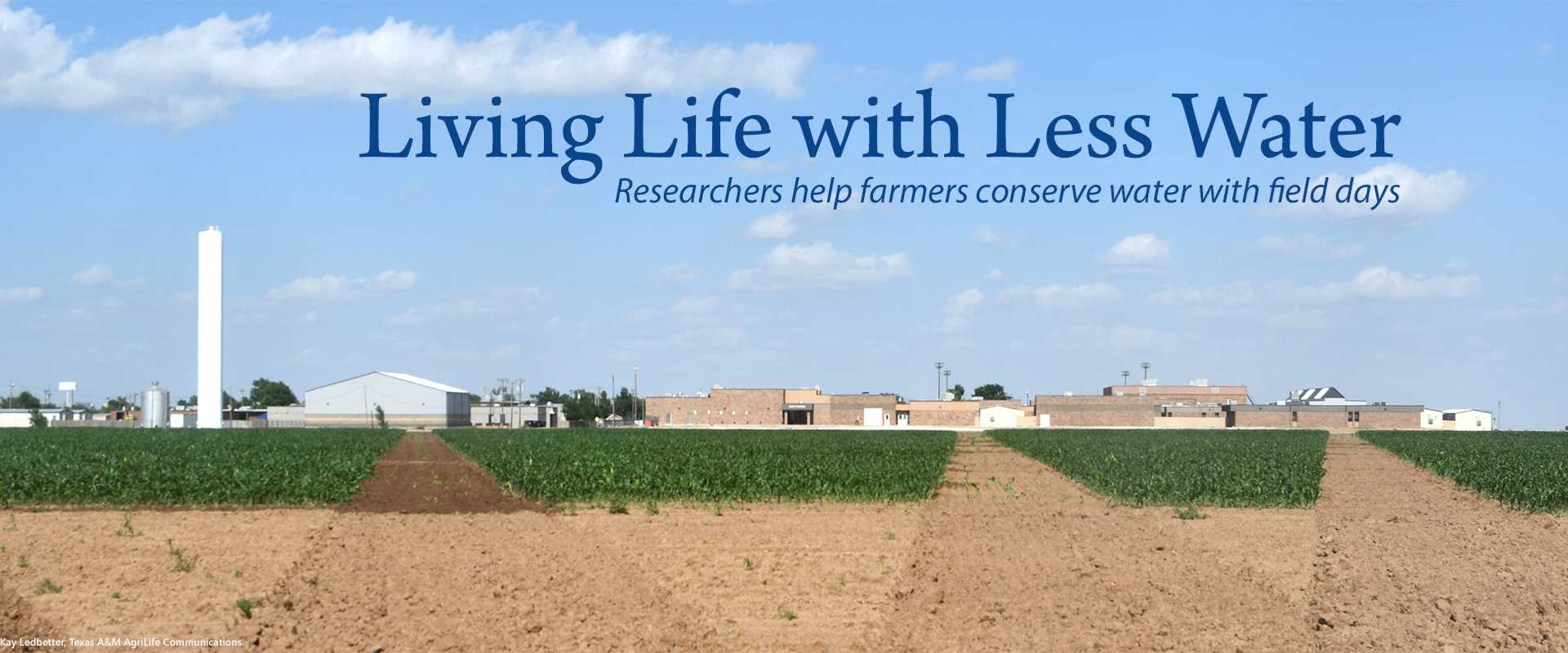 Living Life with Less Water banner