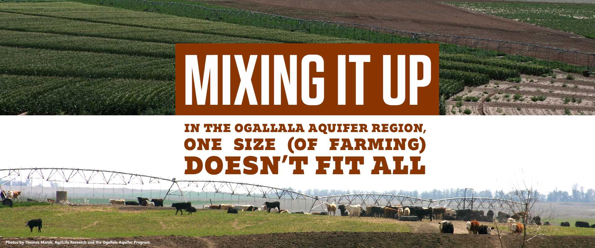Mixing it up banner
