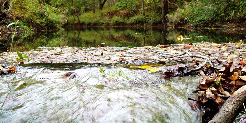 Riparian and stream ecosystem program workshop for Paluxy River watershed set for Dec. 6
