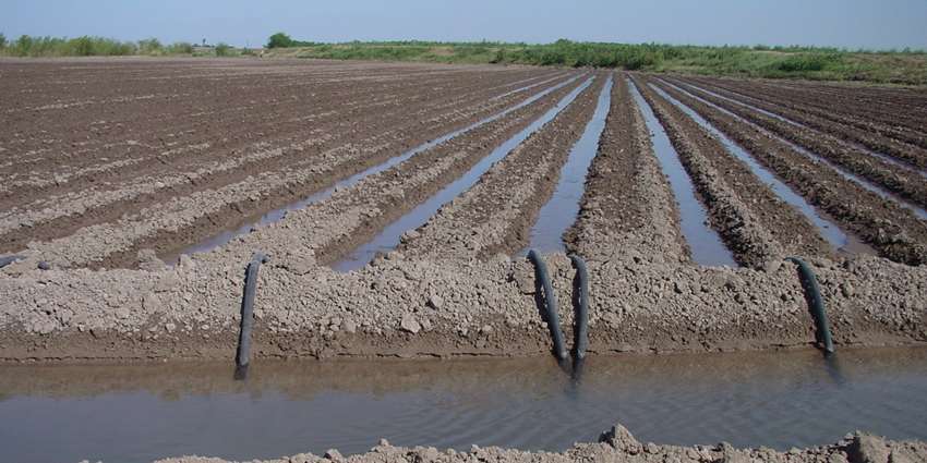 Rio Grande Valley drought workshop demo site