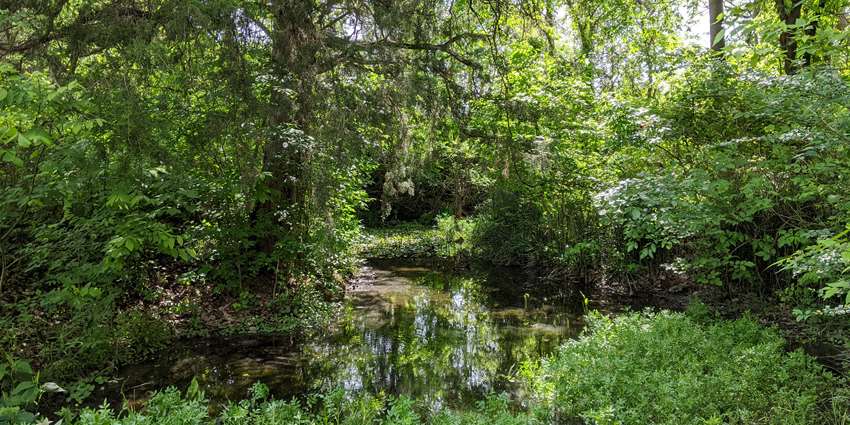 Riparian and stream ecosystem workshop for Eagle Mountain Lake watershed set for May 14