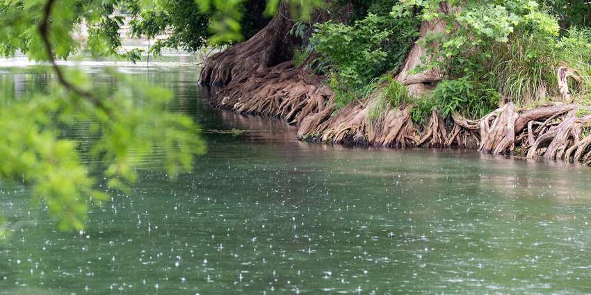 Water Seed Grants award $2.39 million in research funding