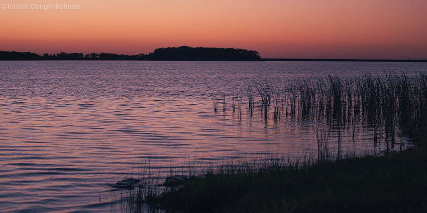 Four Programs of Excellence funded through the Water Exceptional Item