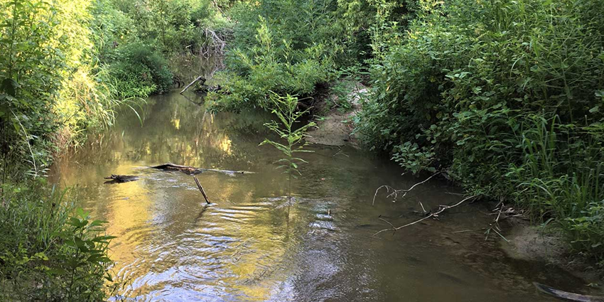 Thompsons Creek watershed protection meeting set for July 31 in Bryan