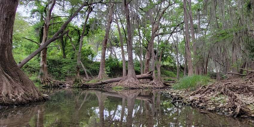 Medina River watershed protection meeting set for Nov. 19 in Castroville